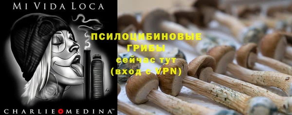 стафф Магадан