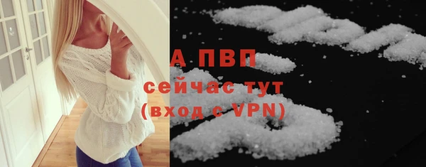 стафф Магадан