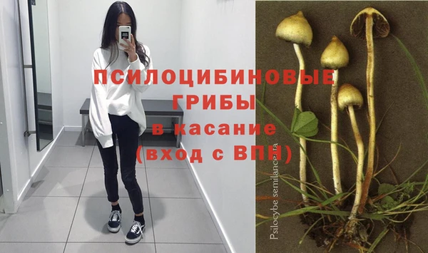 альфа пвп Магас