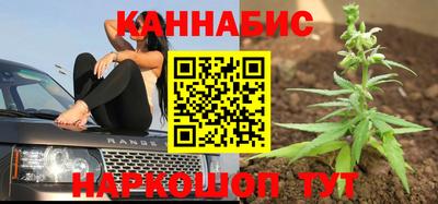 стафф Донской