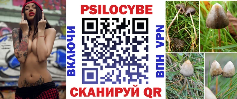 цена   Усть-Джегута  Галлюциногенные грибы Psilocybe 