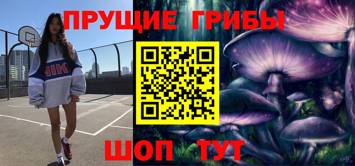 Псилоцибиновые грибы GOLDEN TEACHER  Галлюциногенные грибы Psilocybine cubensis  Вход с VPN  Усть-Джегута 